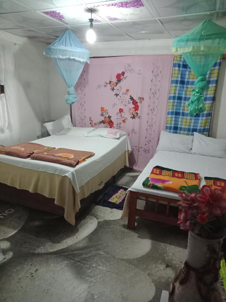 Damsen Homestay Ella Exteriör bild
