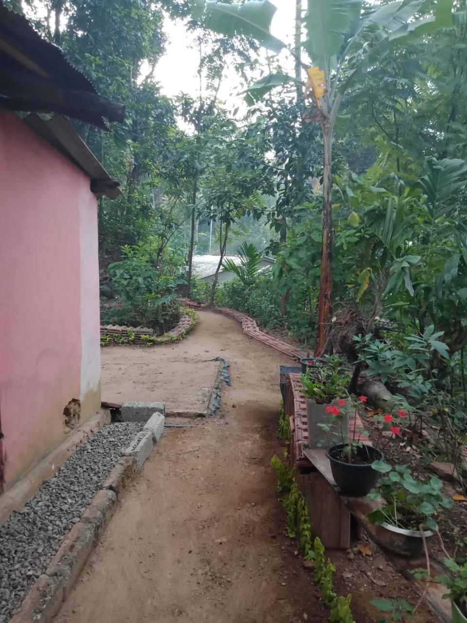 Damsen Homestay Ella Exteriör bild