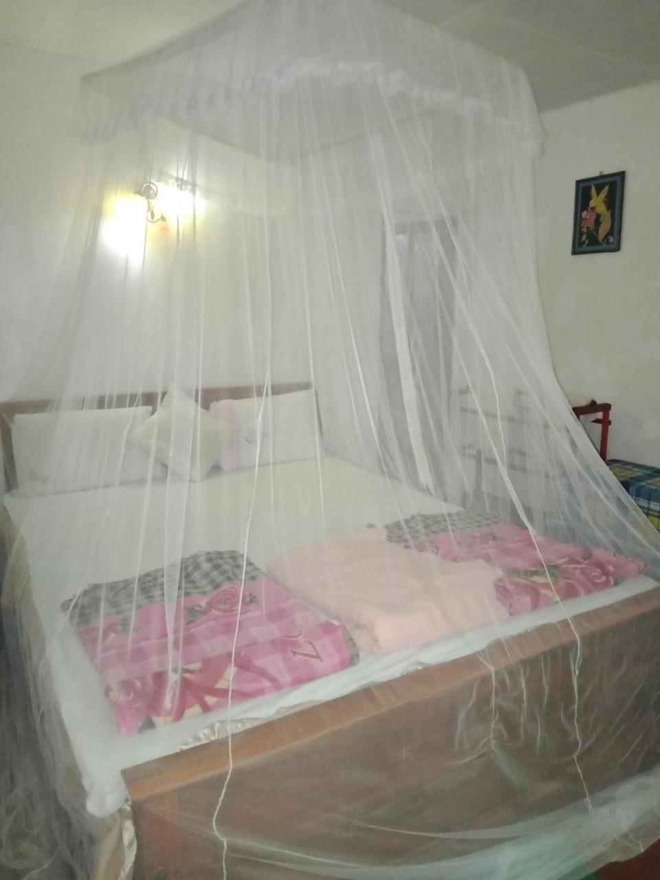 Damsen Homestay Ella Exteriör bild