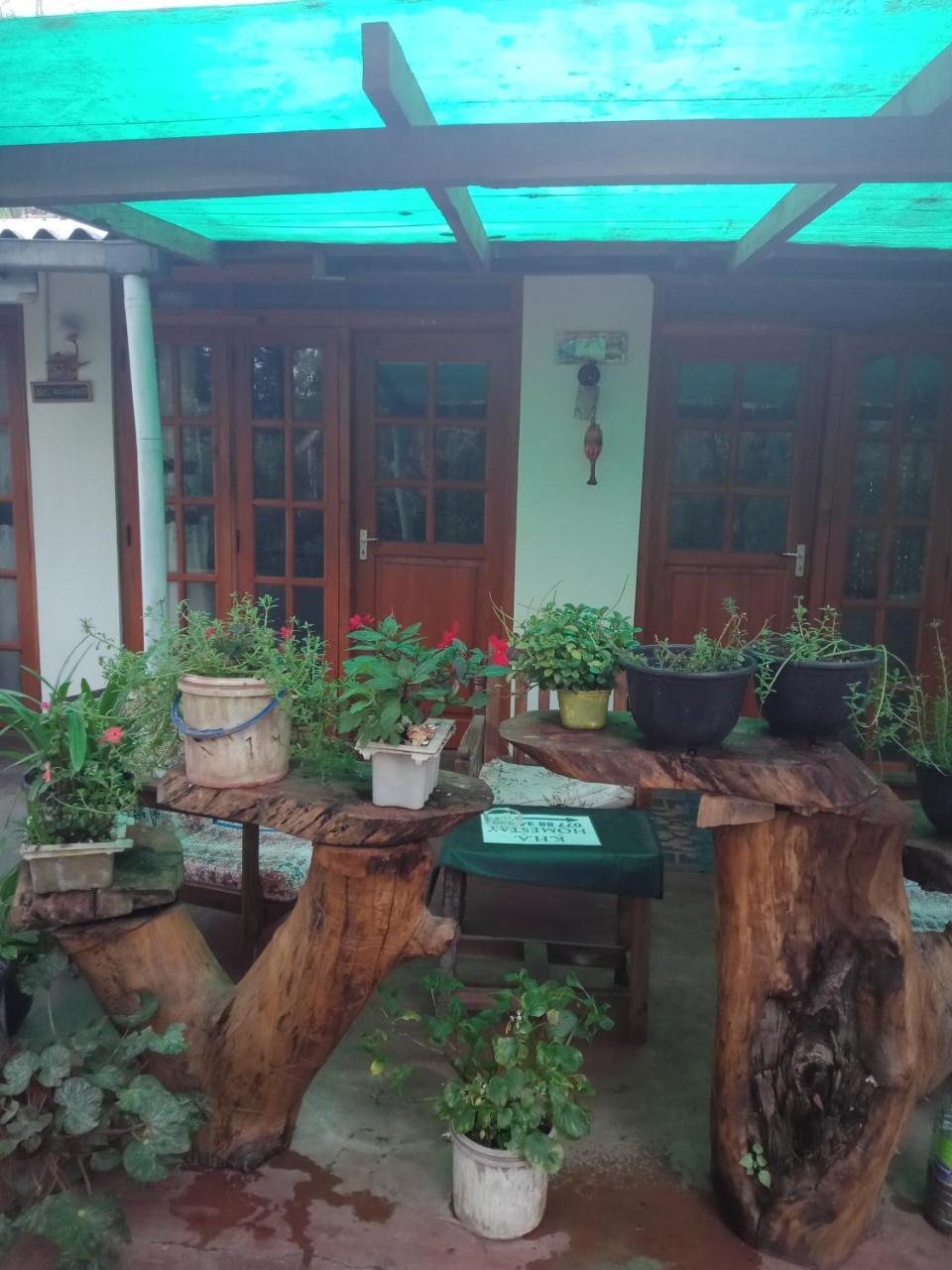 Damsen Homestay Ella Exteriör bild
